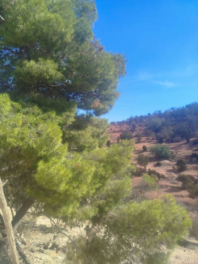 Photo par said M. (04/11/25)