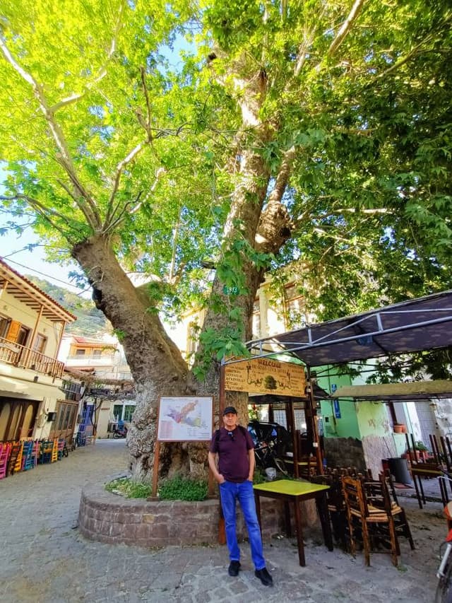 Midilli’de bir Opel Astra kiralama ile ilgili MEHMET G. tarafından 6 fotoğraf (27.04.24)