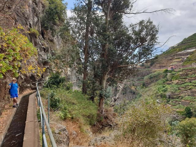 Photo 7 by MIHAI F. about renting a Renault Clio in Funchal (Downtown) (9/4/22)