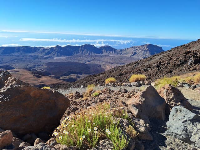 Zdjęcie 8 wykonane przez Jolanta C. (7.07.24)