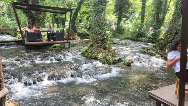 Photo 4 by Milica C. (8/26/25)