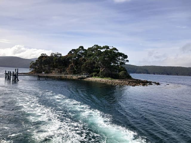 Photo 4 by Annette W. (5/17/26)