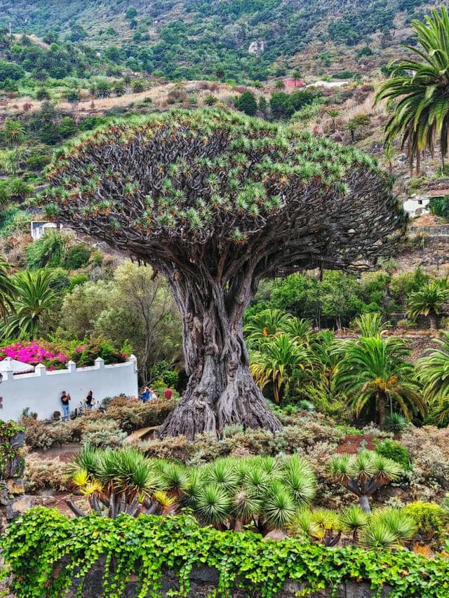 Foto 6 od Libor K. (15. 8. 25)