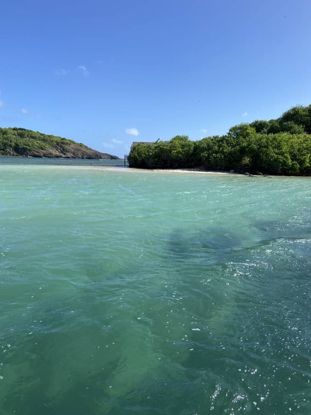 Foto 4 di CARLA P. (09/12/25)