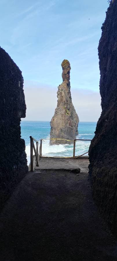 Foto 2 di Ugo M. (07/02/26)