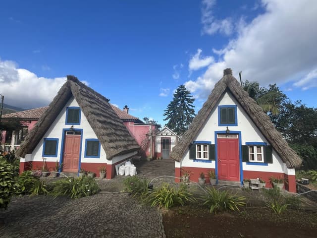 Photo 3 by Niall W. (10/26/25)