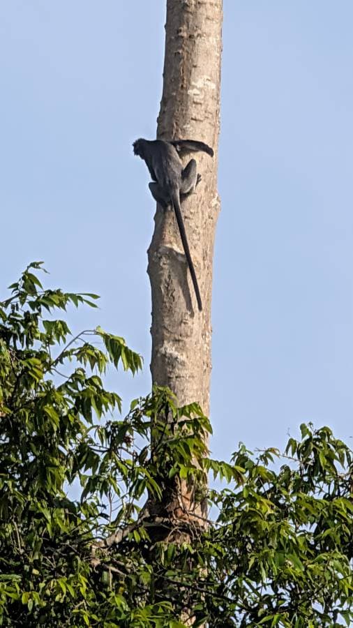 Photo 4 by Cornelis V. (3/29/26)