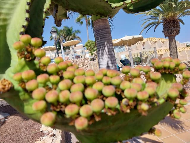 Foto 6 van Danielle V. (1-3-26)