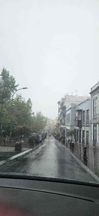 Photo 3 by Peter F. (4/13/26)