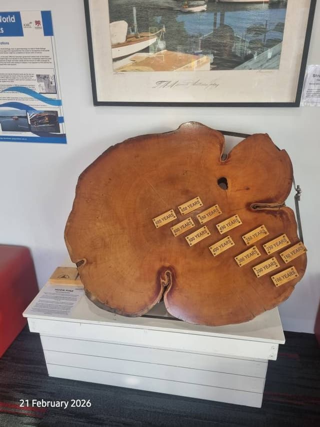 Photo 4 by Norman K. (3/3/26)