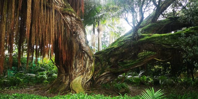 Foto 11 de Mario P. (23/02/26)