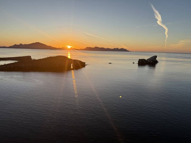 Photo by Gordon M. (3/1/25)