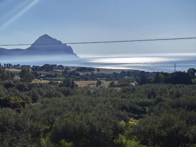 Photo 5 by Marcin S. (4/12/26)