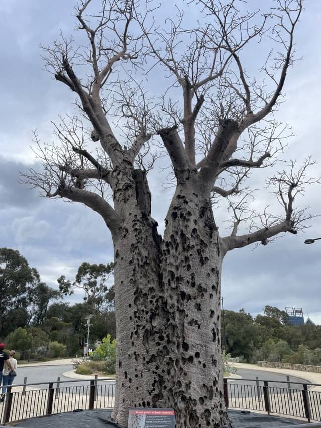Photo 2 by Helen T. about hiring a Mitsubishi Outlander at Perth Airport (23/07/24)