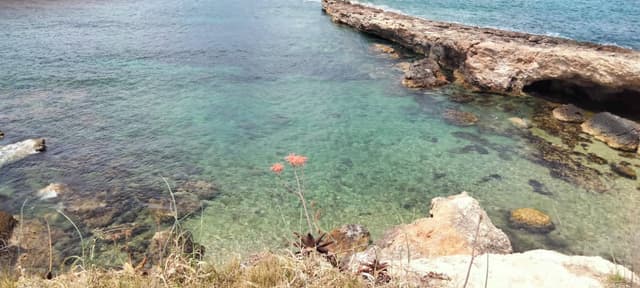 Foto 2 di FIORELLA G. sul noleggio di una Fiat 500 all’aeroporto di Ibiza (24/05/23)