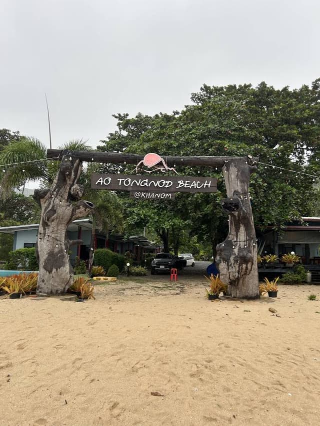 Photo 5 by Paul D. (10/26/25)