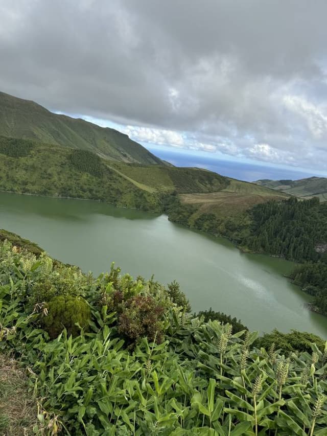 Photo 9 by Harold O. (9/11/24)