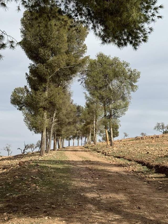 Foto 10 van Fernand D. (10-11-24)