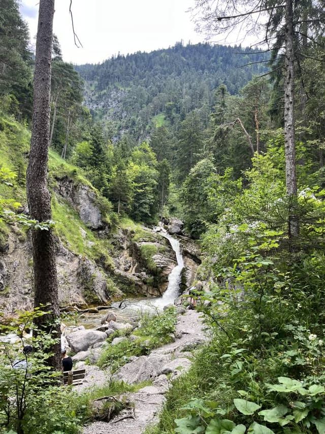Photo 5 by moshe B. about renting a Polestar 2 in Germany (7/31/24)