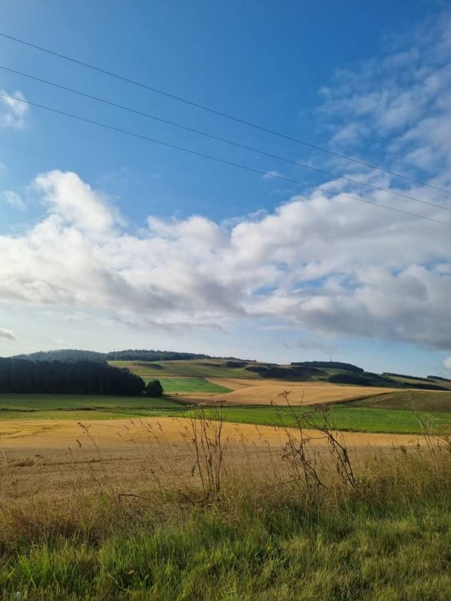 Photo 6 by Chris C K C. (8/31/24)