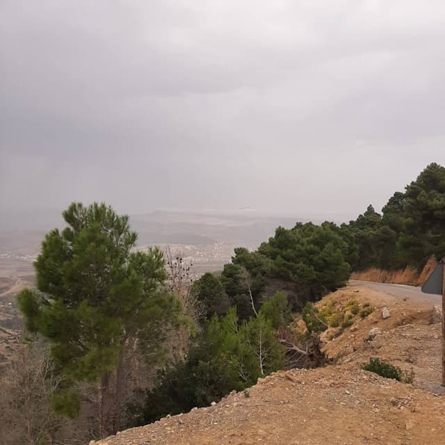 Photo 3 by Abdelhamid A. (10/21/22)