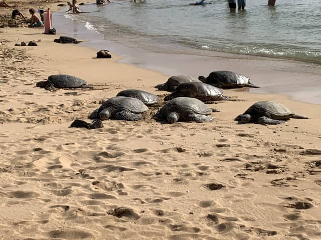 Photo 3 by Melanie F. (11/18/23)