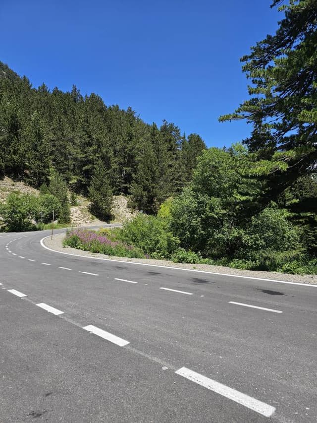 Foto 4 de Grigori B. (15/7/24)