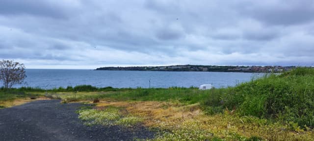 Zdjęcie wykonane przez Pawel J. (14.05.25)