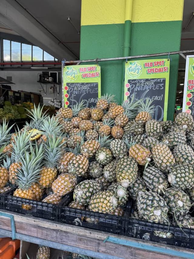 (25/11/24)のレンタルについて、Mansuke I. による写真 11