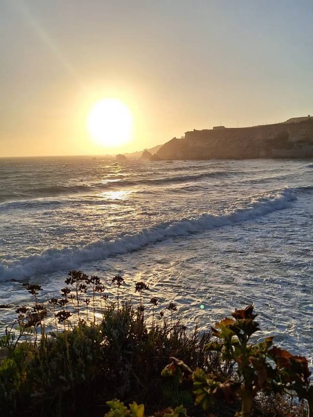 Photo by mihael T. (7/8/24)