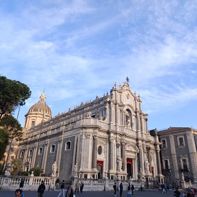 Photo 7 by Peter P. (3/26/26)