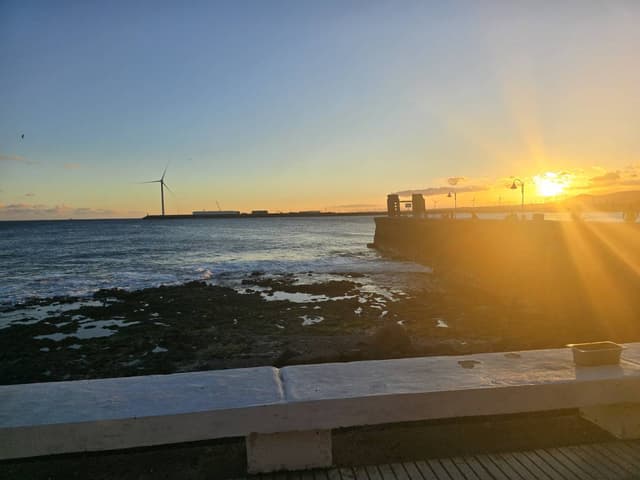 Photo 4 by Pauline Mary K. (12/3/25)