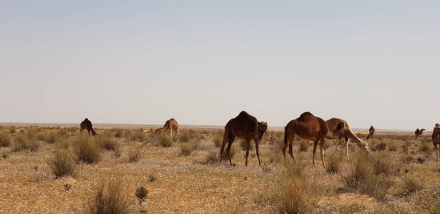 Photo 5 par SEBASTIEN L. (08/03/25)