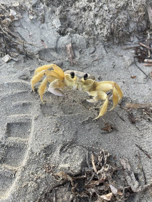 Photo 5 par Pierre F. (07/04/26)