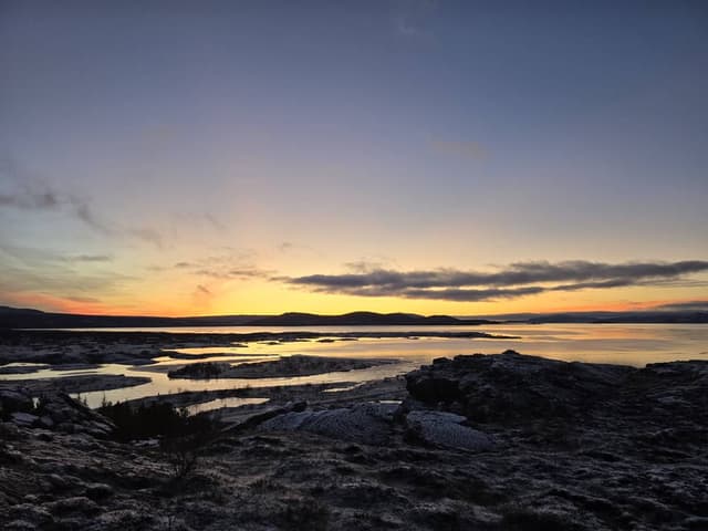 Photo 3 by Jemma C. (1/11/26)