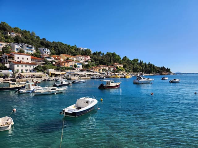 Foto 5 van Monique B. (4-10-24)