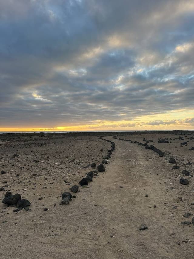 Photo 5 by Mario C. (3/25/26)