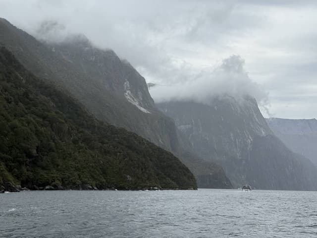 Photo 4 by Mayank B. (3/23/26)