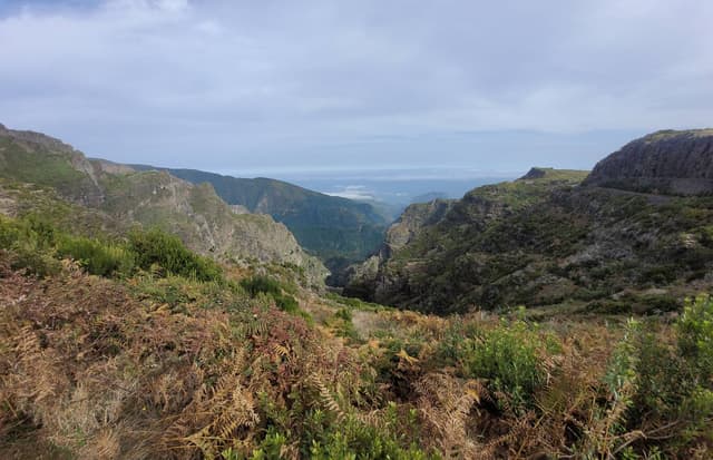 Photo 8 by Shawn S. about renting a Fiat 500 in Funchal (Downtown) (11/24/23)