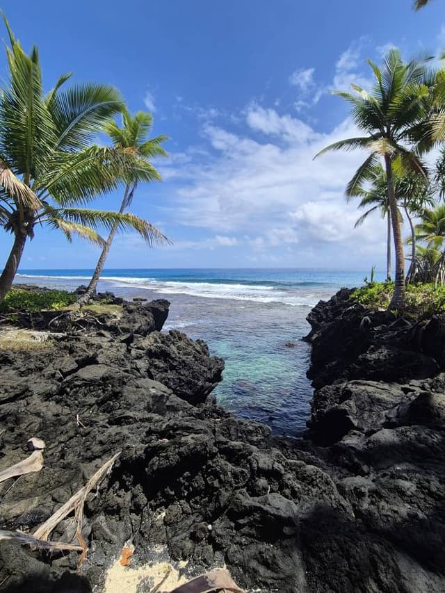 Photo by Asha V. about renting a Hyundai Santa Fe 5+2 in Fiji (3/9/25)