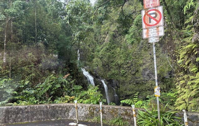 Photo 8 by YINGRU G. (5/20/25)