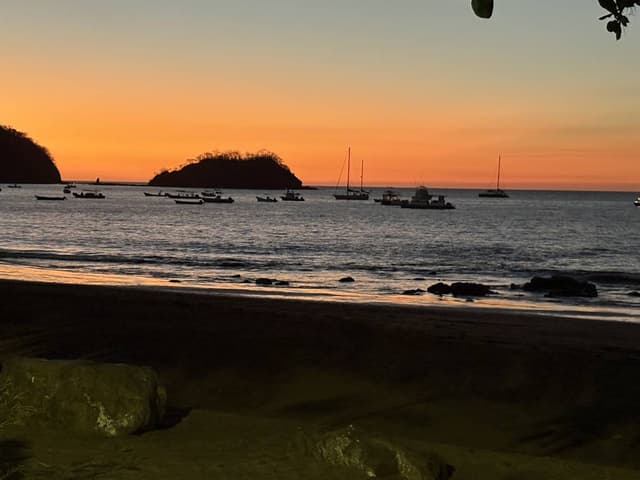 Photo 7 by Michele C. (3/20/26)