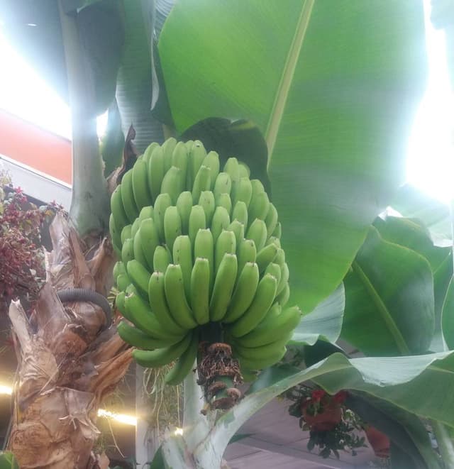 Fotografia 7 realizată de IOAN-RADU P. (30.07.22)