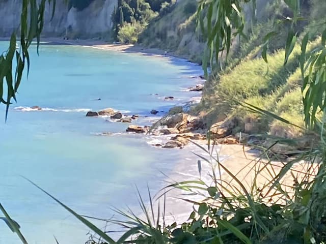 Foto 6 von Christine H. (24.10.25)