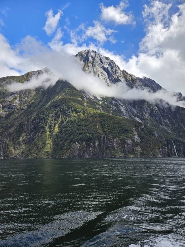 Foto 3 von Claudia K. (4.11.24)