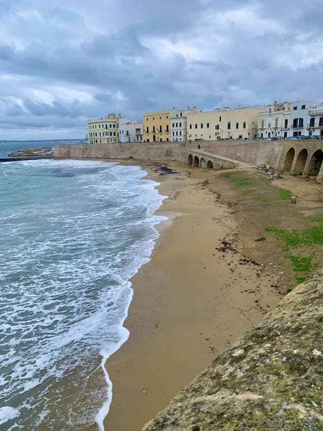 Foto 3 di Michele O. sul noleggio di una Fiat Panda a Brindisi (10/01/24)