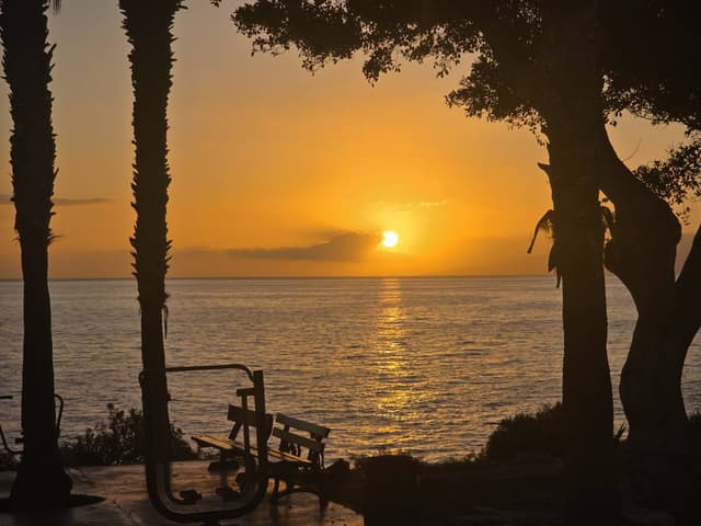 Fotografia 5 realizată de Natalia M. (13.01.26)