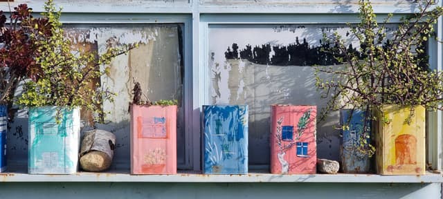 Photo 4 by Elaine B. (11/24/25)