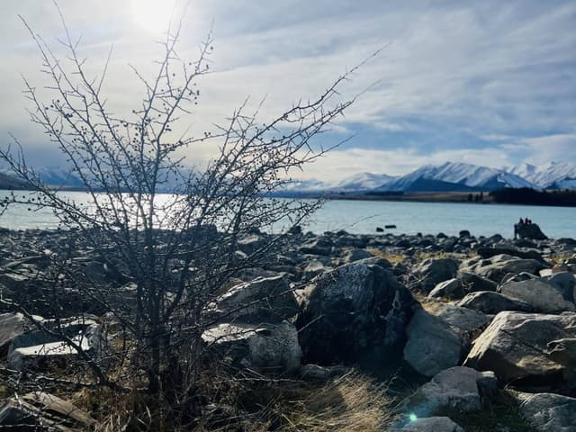 Photo by Ayoni W. about hiring a Toyota Corolla in New Zealand (27.06.25)