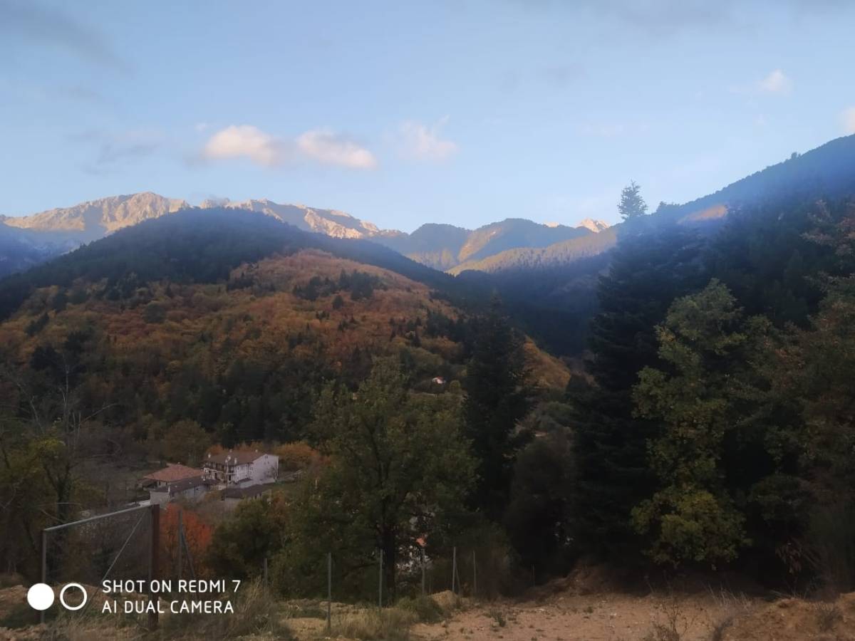 Photo 6 by Boris L. (11/10/24)